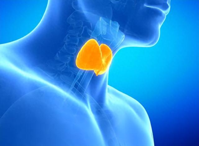 甲状腺不好的人,牢记:少碰“1蛋、3菜”,或可以保护甲状腺功能