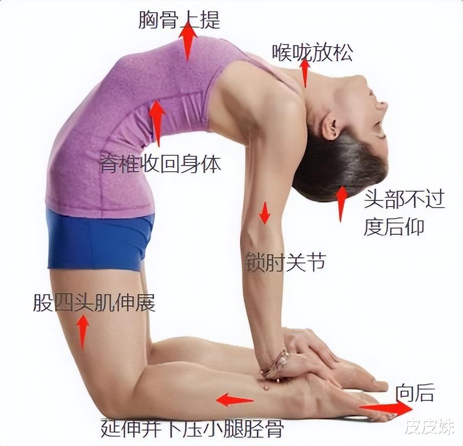 关节炎|6个瑜伽开肩体式，帮你减少肌肉韧带的粘连，缓解肩关节炎