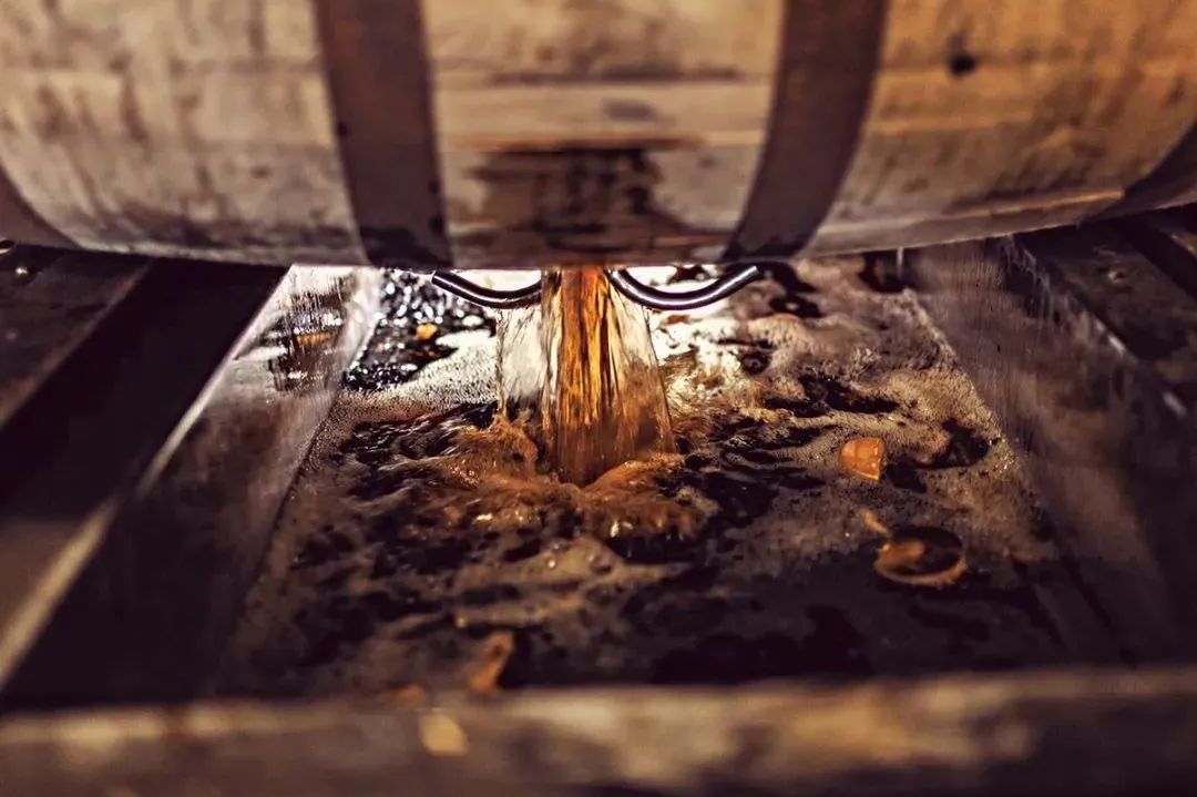 假洋酒产自田间集装箱?春节备酒避坑指南来了!