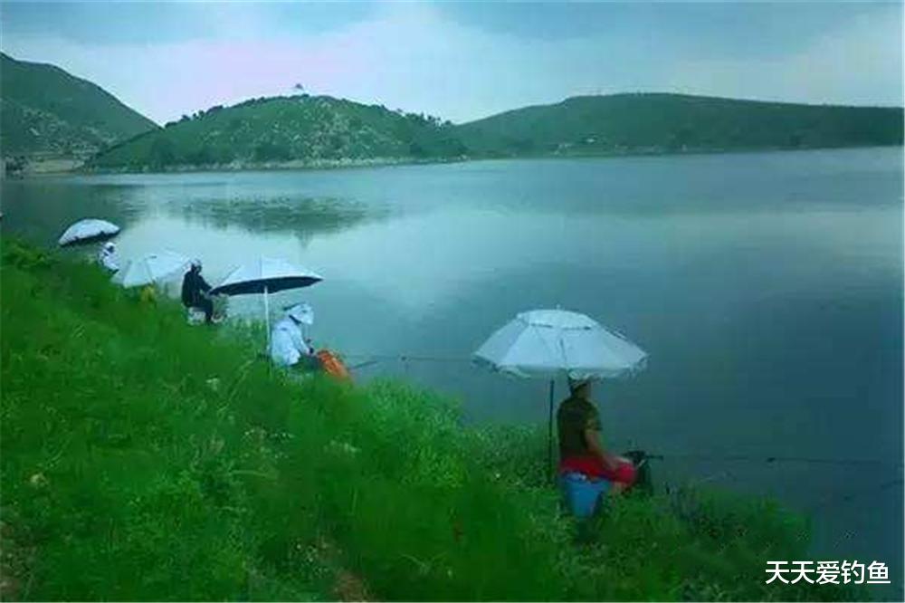 钓鱼|进入梅雨季,用好这些钓鱼绝招,越钓越惊喜