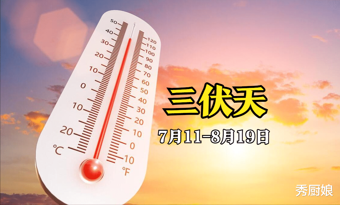 三伏天将至，不管多忙记得吃“1肉2菜3果”，应季而食，顺利入伏