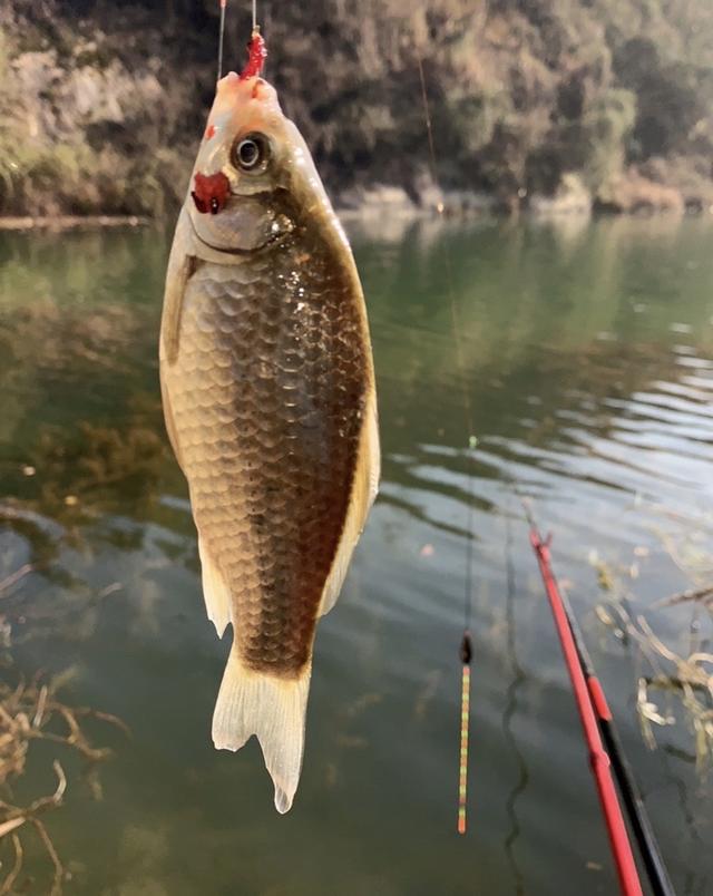 快乐|未雨绸缪做好预判，渔获如期而至