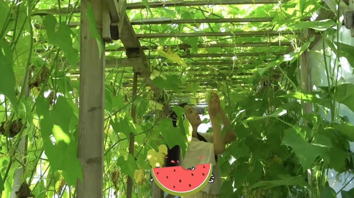 王祖贤|王祖贤已成千万富婆，在加拿大拥有超大庄园，亲自种菜摘果好惬意