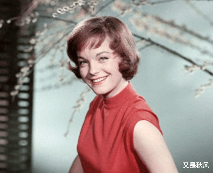 41年前，茜茜公主去世，阿兰德龙为她守灵3天，迟来的深情比草贱