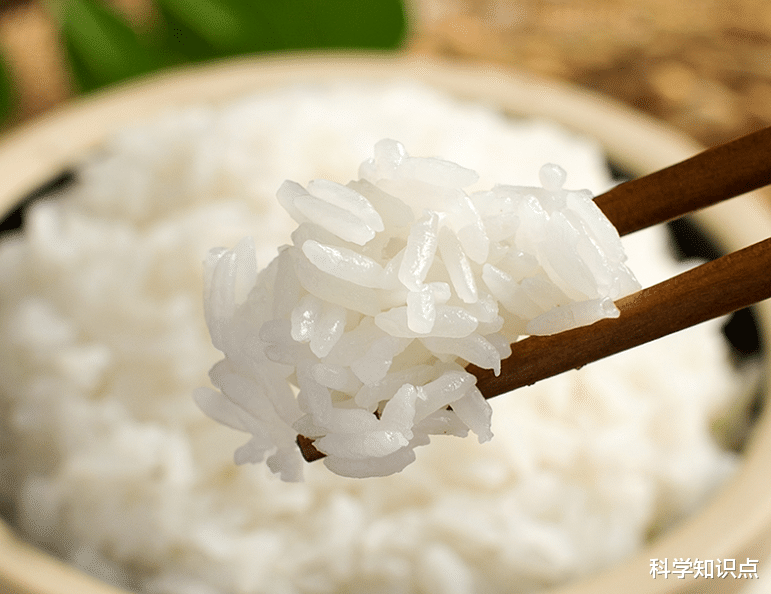 美食探店|中国哪里大米最好吃？这5种大米最为有名，其中有你家乡吗？