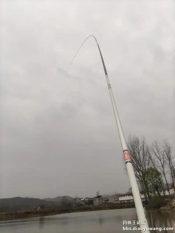 鲤鱼|断崖式降温,巧搭饵料擒斤鲫