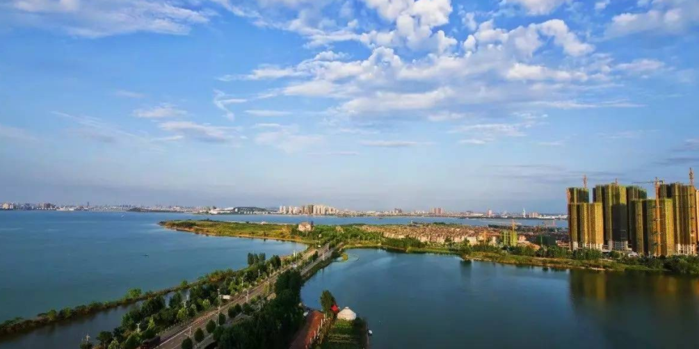 甲鱼|女大学生湖边捞到2斤重大甲鱼, 路过钓鱼佬称可帮领养, 竟信以为真