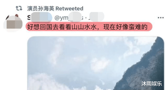 孙海英夫妇:在美靠捡垃圾年入400万,奈何回不了国内