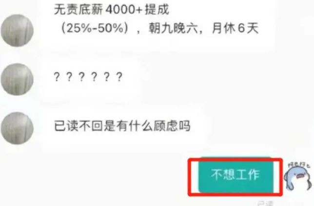 大学生|00后大学生“野蛮应聘”火了,直来直去没有废话,HR在原地懵圈