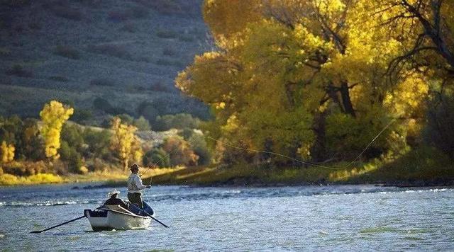 饵料|寒露将至,这样调整渔获翻番不是梦