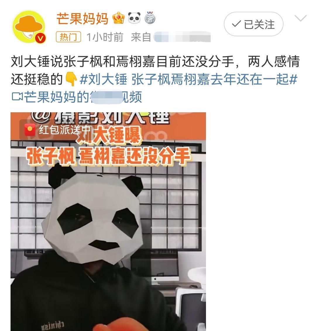 张子枫|刘大锤爆张子枫焉栩嘉还没分手，感情稳定，两个人越来越有夫妻相