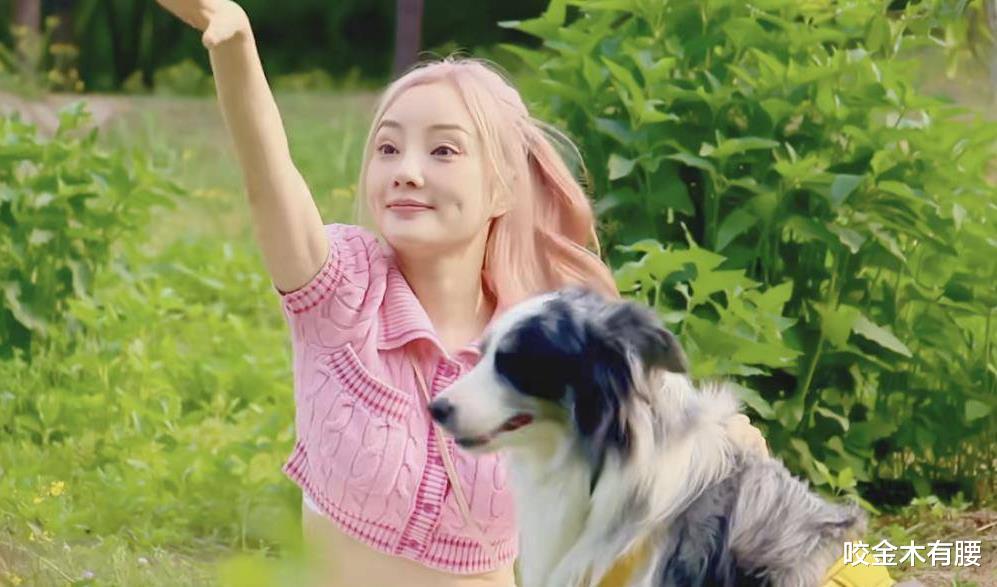 李小璐|李小璐转型当萌宠博主，41岁气质仍似少女，奈何穿露脐装腰身显粗