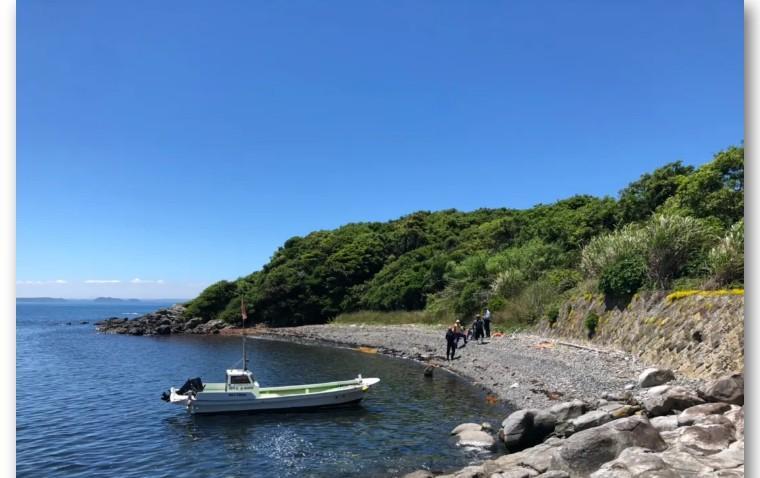 日本|“中国女孩买下日本小岛成岛主”爆火！但劝你冷静，别花钱掉大坑