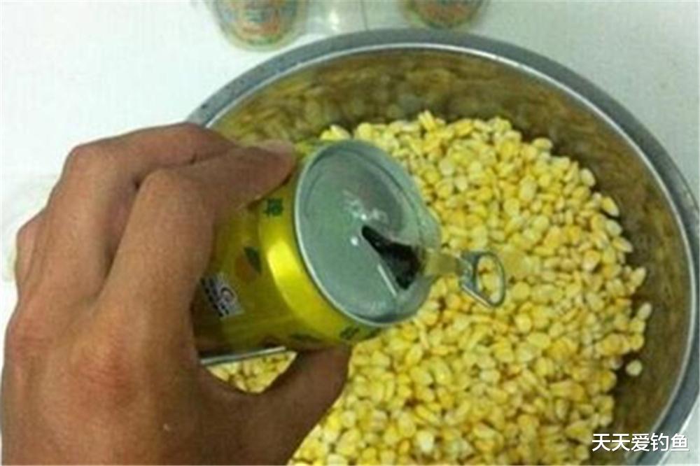 海钓|野钓大鱼时，用啤酒制作几款饵料，上鱼更快吃钩更猛