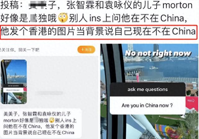 都不是善茬？结婚22年后，张智霖和袁咏仪的遮羞布，再也盖不住了