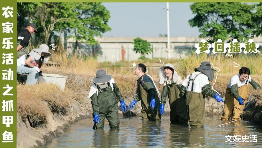 那英|《向往的生活》有那英就有说不尽的欢乐