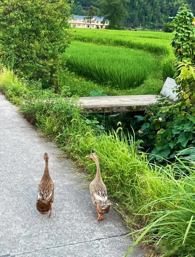 长寿|发现一个奇怪的现象,有些人的长寿是违反医学常理的,真解释不了