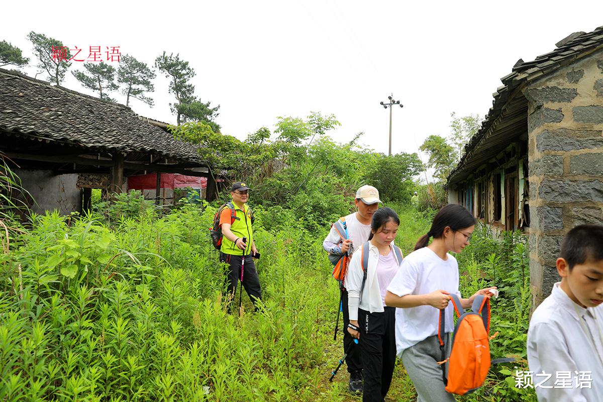 宁波|中村环游线路，超全攻略，带你畅游金银花海