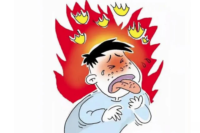 蒲公英全身都是宝,这样搭配,清热解毒,滋补肝肾!