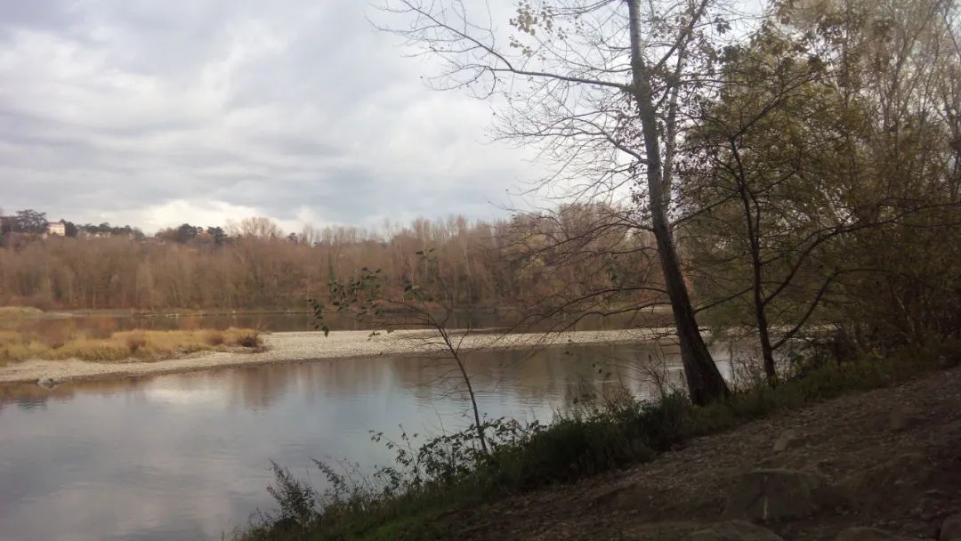 算命|下月开始，财运、事业、运势大涨的4个生肖，大财旺，小财顺