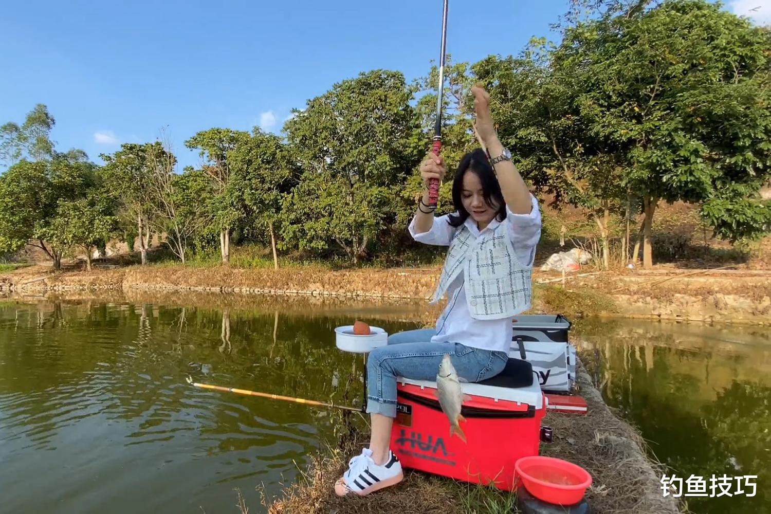 黑鱼|黑坑鲤鱼偷驴的4个要诀，偷驴想上岸的关键