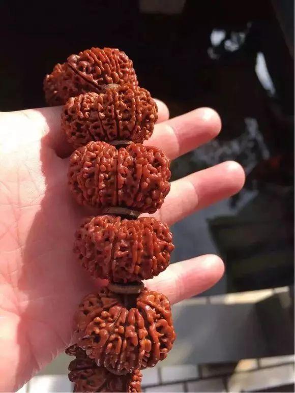 康熙|丑逼文玩 | 丑出新高度,价格却贵的离谱!