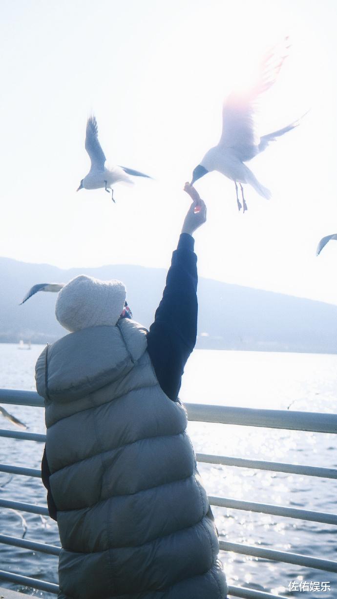 赵丽颖|赵丽颖分享九宫格美照,与海鸥互动被赞人美心善,又美又飒惹人爱