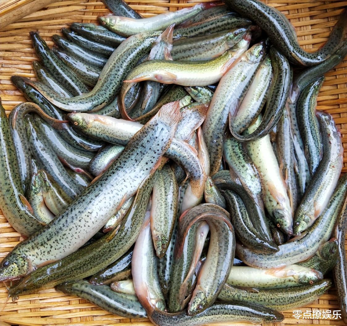 猪肉|最适合男人吃的肉类排行榜，猪肉倒数第一，鱼肉排第四，先收藏了