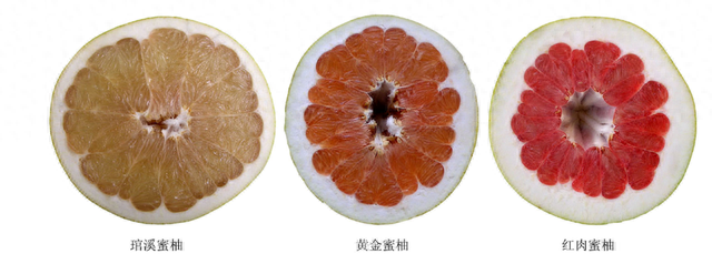 秋天最减肥的水果，我不允许你不知道→