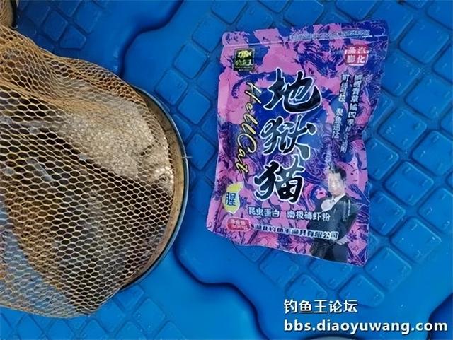 地狱猫水库试钓，遇涨水小有收获