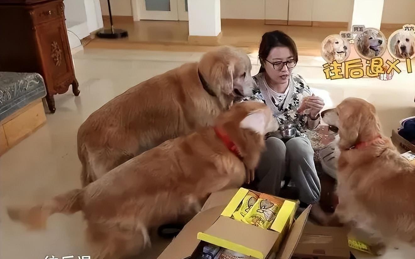 周海媚的离世告诉我们5个真相