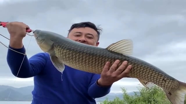 |去大型水库钓鱼，有6大注意事项，助你成为库钓高手