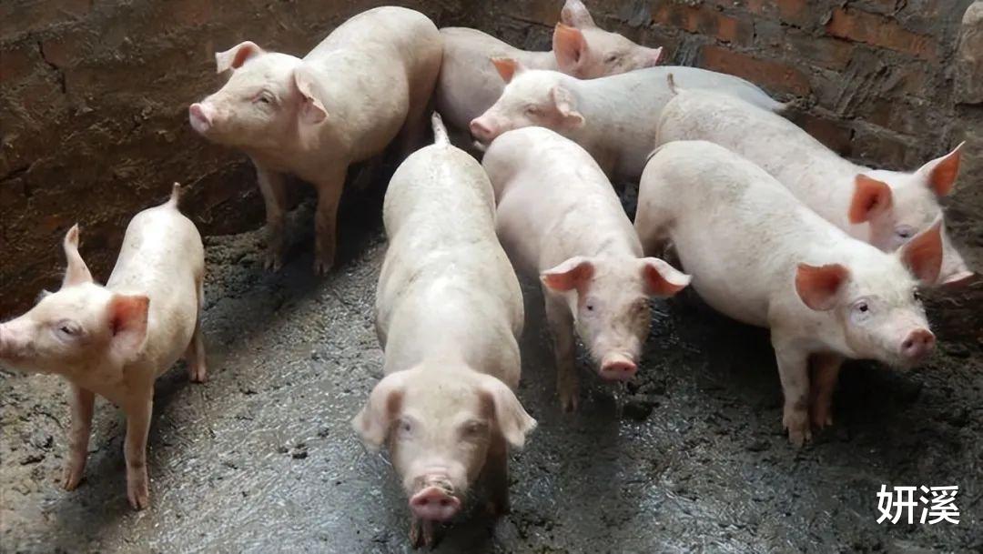 马蓉王宝强离婚后首次合影!37岁马蓉新染一头金发像大学生