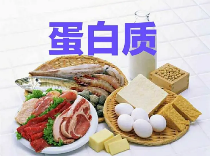 食盐|“蛋白补得好，少往医院跑”，多吃4种高蛋白食物，增体质强免疫