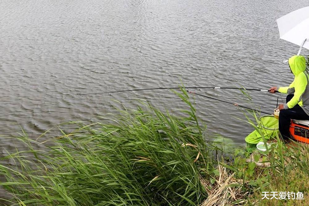 夏季钓鱼，选择钓位的3大原则，选对了大鱼连竿