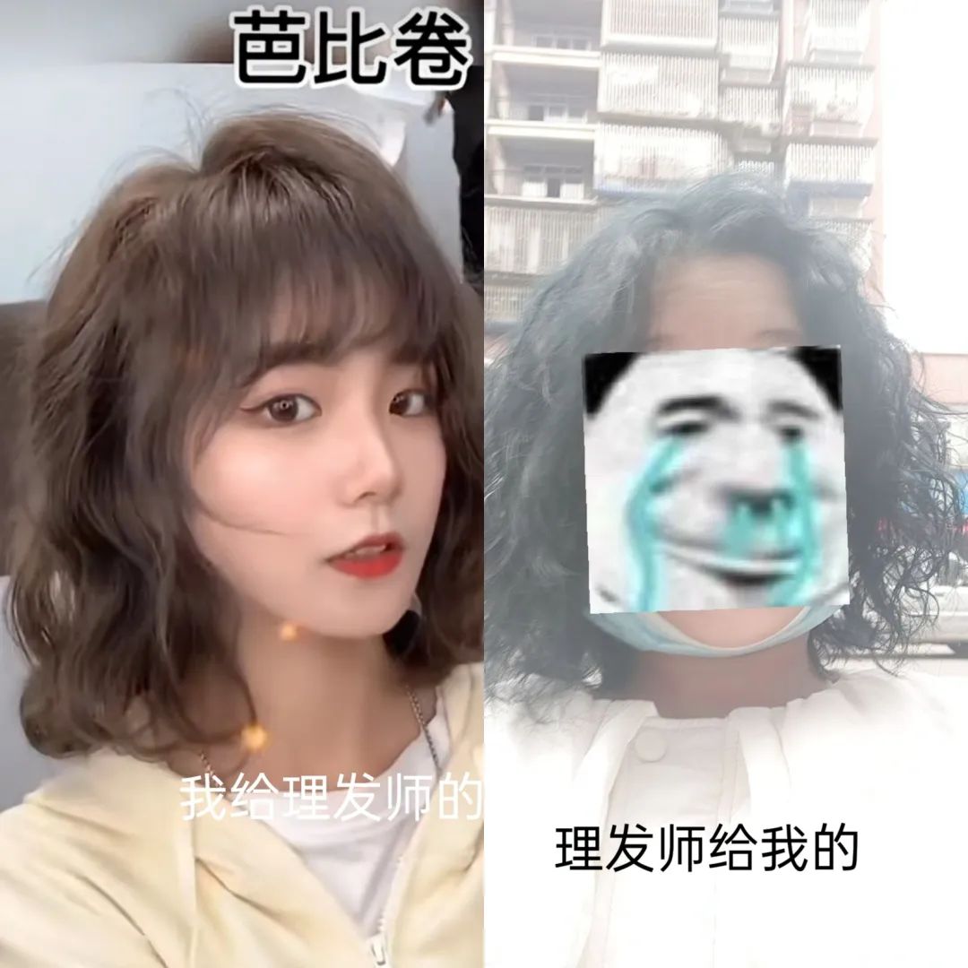 第一批过年烫头的人,已经疯了!