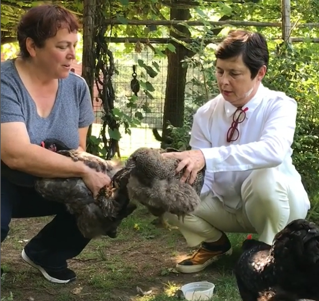 宇宙最美星二代:下海、退圈、养鸡