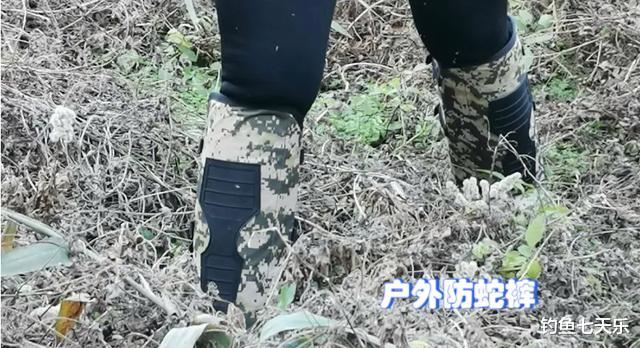 钓鱼|江苏男子垂钓时遭水蛇缠身，稳坐钓鱼台扬竿遛鱼，网友：开眼界了
