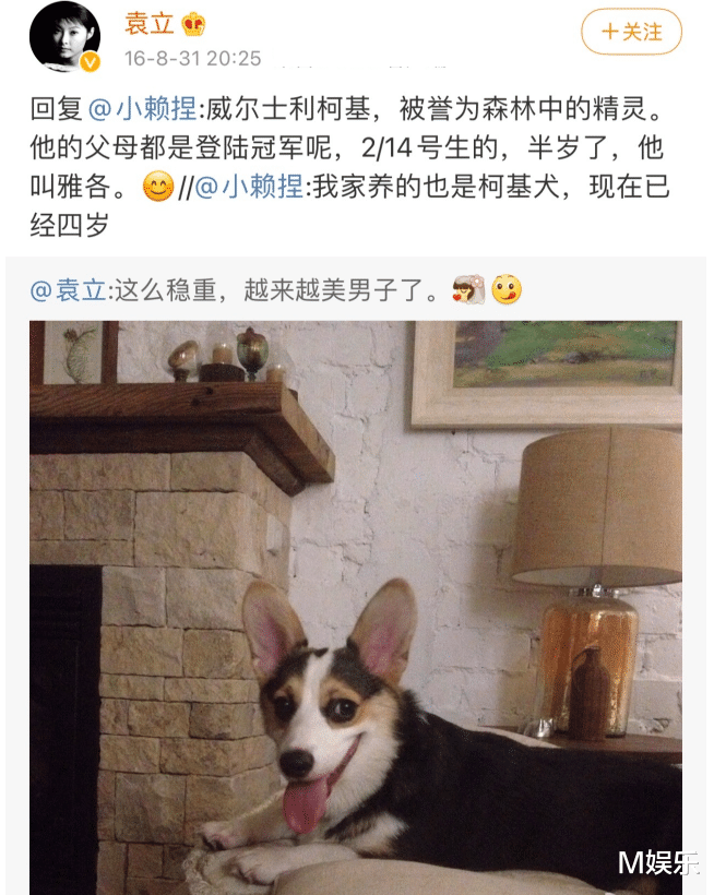 以为是假新闻，其实是真新闻，从张译到撒贝宁，个个都惊呆众人