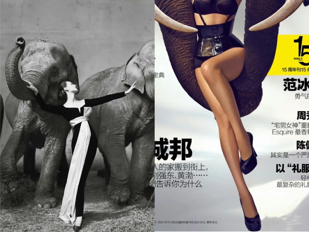 为什么一夜间85花都打不过张子枫了？