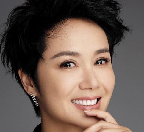 蒋雯丽|“夫妻本是同林鸟”，但抱歉！这一次顾长卫也“救”不了蒋雯丽了