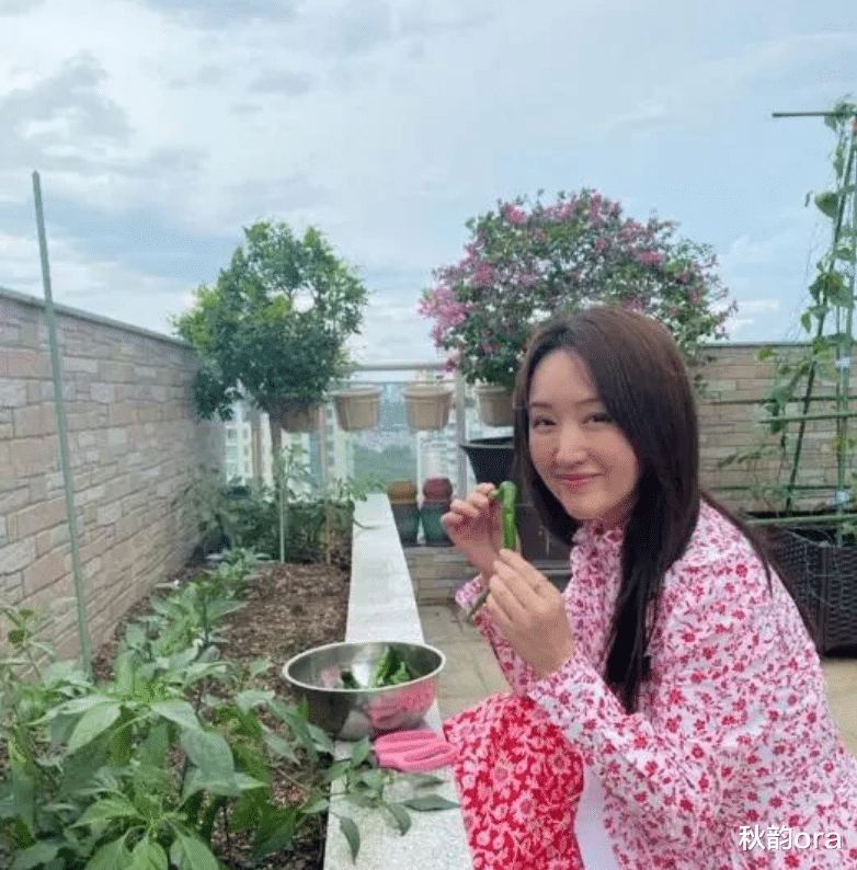 杨钰莹|杨钰莹与初恋赖文峰分手26年后,一个娶妻生子,一个不婚不孕