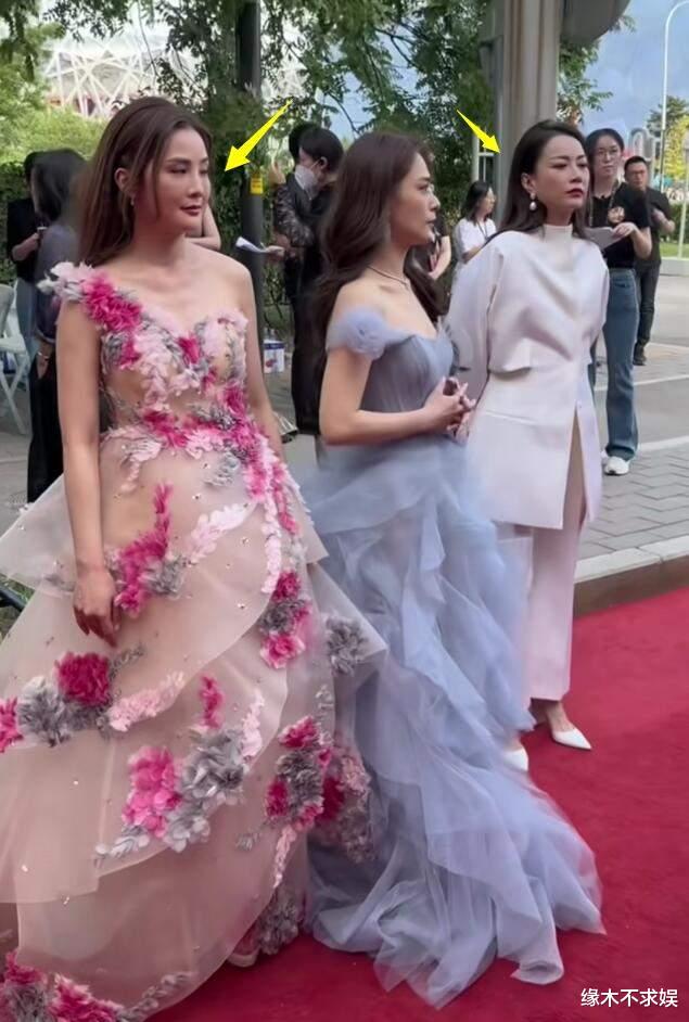 华表奖|华表奖女星大量生图释出:阿Sa脸僵、林允绝美,05花很成熟!