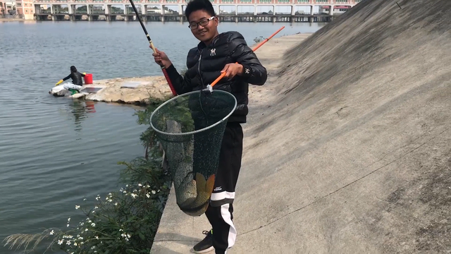 野钓鲤鱼调漂有诀窍，几分钟读懂正确思路，新手学会很关键