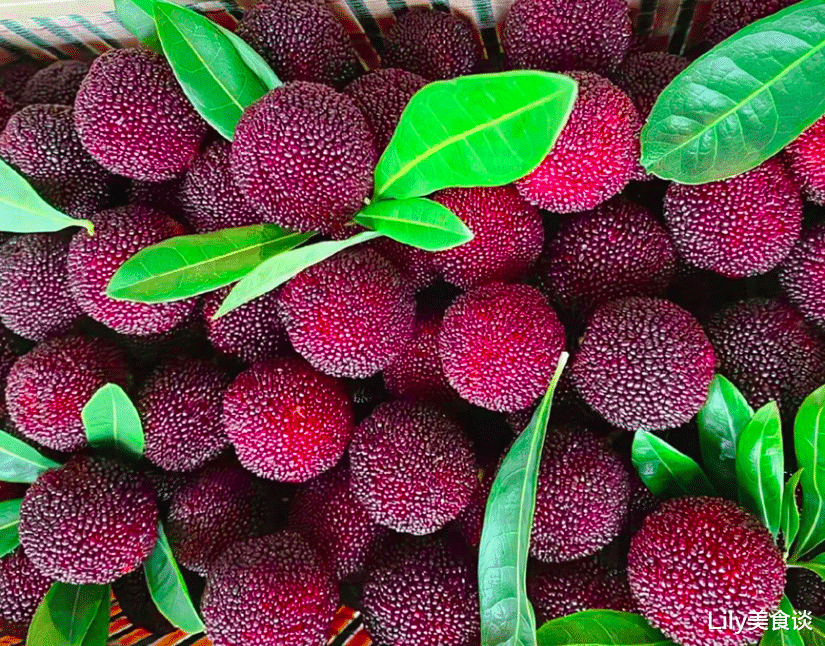 水果|6月，有钱没钱，这5种水果记得多吃，水分足口感好，现在正当季