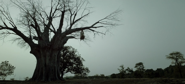又是一部开挂神片,从头到尾都刺激!