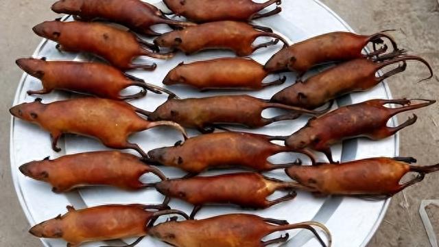 |躲过了中国人的筷子,却被越南人当做美食?越南人为啥爱吃鼠肉?