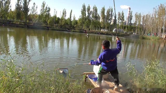 鲤鱼|鲤鱼添加剂用一瓶搞定好还是套装组合好?早弄清楚,少走弯路