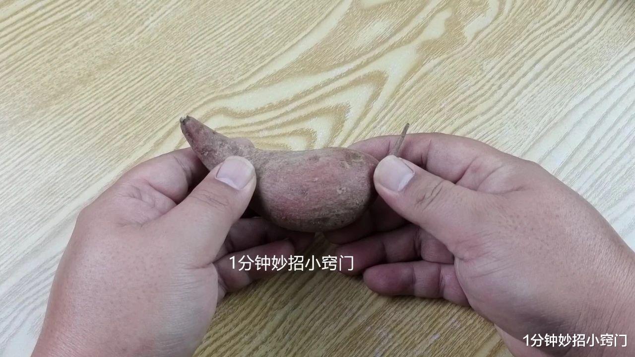 红薯|蒸红薯时,切记不要直接上锅蒸,教你一招,香甜软绵,入口即化