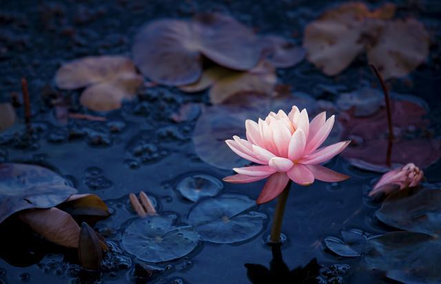 当你开始有了三种变化，说明你已经变老了